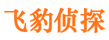 宏伟市婚姻出轨调查